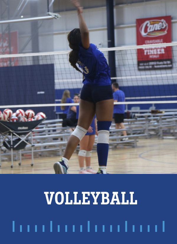 play volley ball adults practice match
