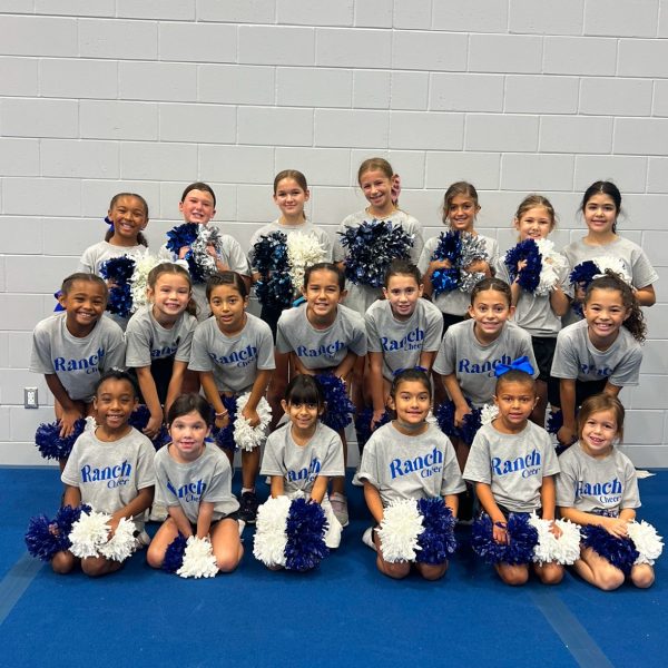 A group of cheerleaders in uniforms smiling and posing together for a team photo.
