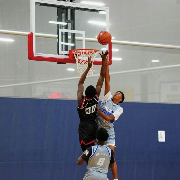 Basketball 41 Elite basketball